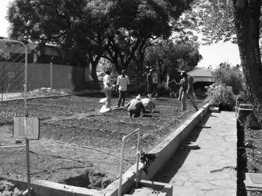 Hospivision NPO back in the day vegetable garden
